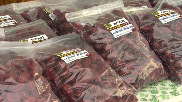 [경북] '대추 최대 산지' 경산에서 대추축제 개최 / YTN