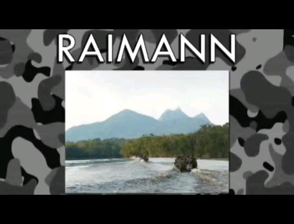 Curso RAIMANN