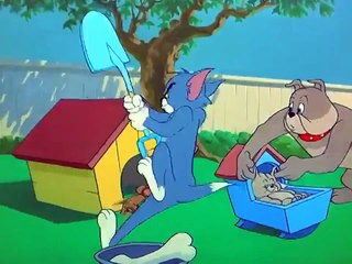 Tom And Jerry - Hic Cup Pup