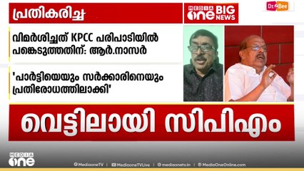 'സിപിഎമ്മിന് ചില ചട്ടക്കൂടുകളുണ്ട്. അതെല്ലാവര്‍ക്കും ബാധകമാണ്'; റെജി ലൂക്കോസ്‌