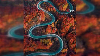 Bursa'da Sonbaharla Ormanlara Gelen Renk Cümbüşü