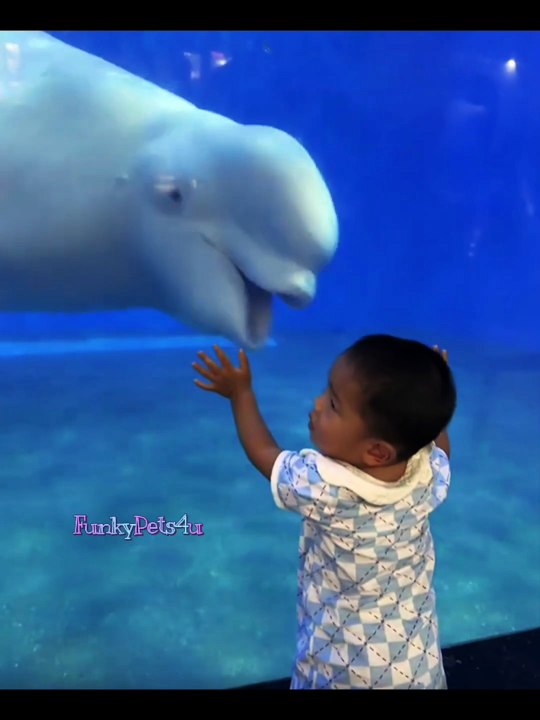 Cute Kid Playing With Big Fish - FunkyPets4u