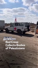 Red Cross Collects Bodies of Palestinians