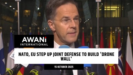 NATO, EU step up joint defense to build 'drone wall'