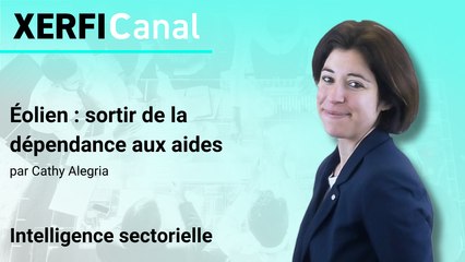 Éolien : sortir de la dépendance aux aides [Cathy Alegria]