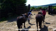 Kids Pony Camps