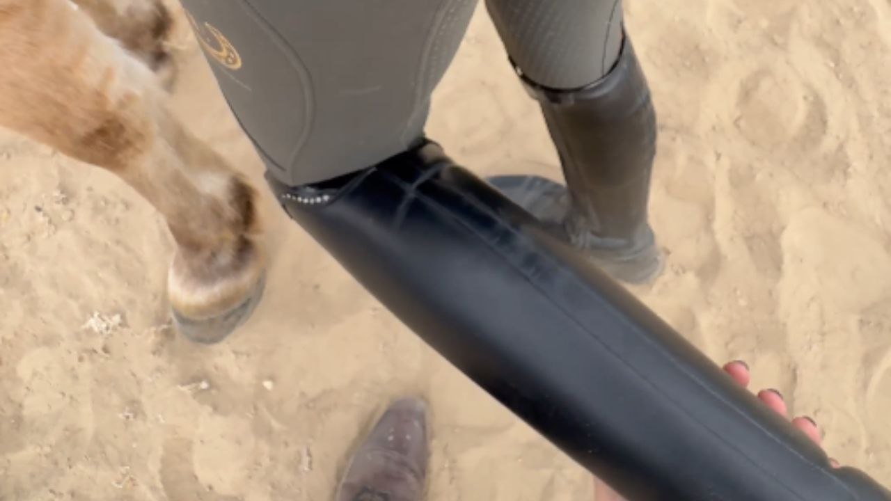 Rider attempts to mount horse but ends up falling off in a hilarious manner