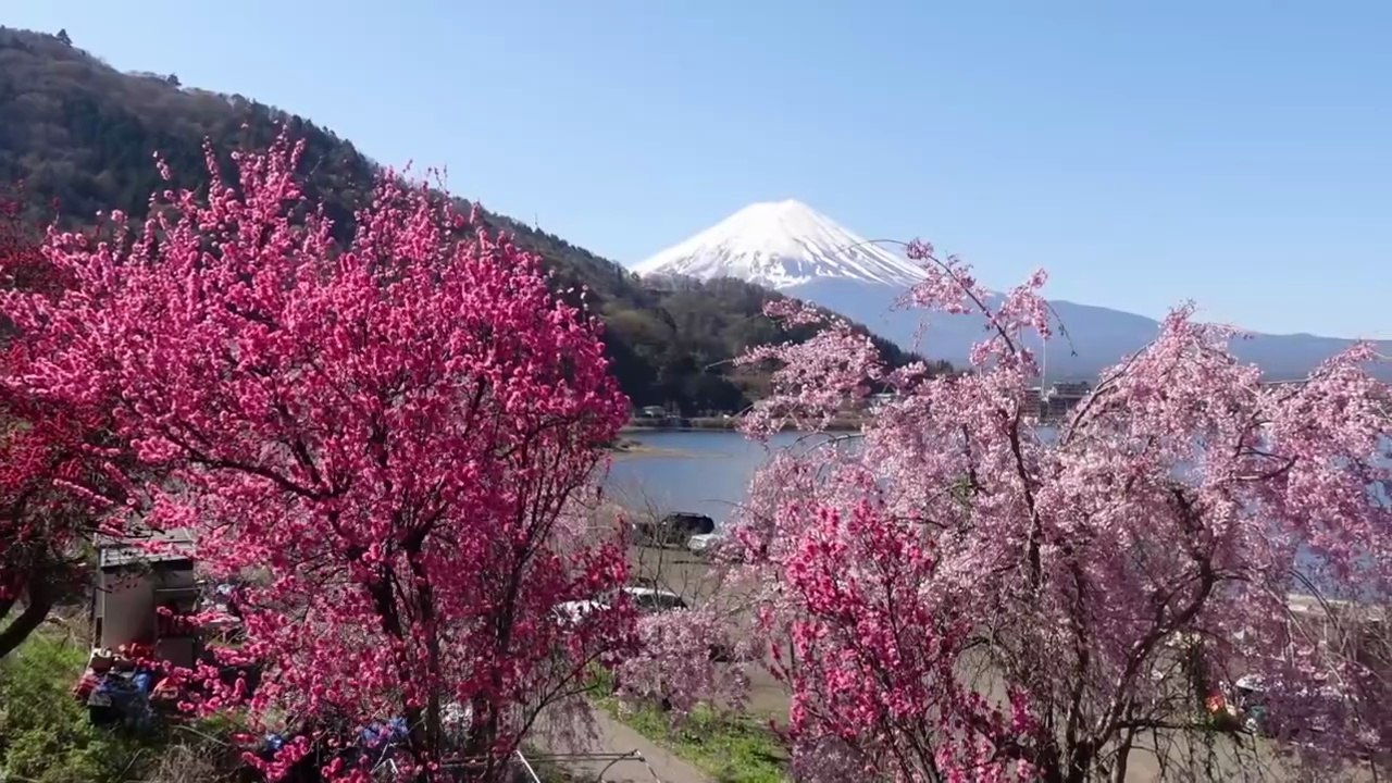 Road trip to Mt. Fuji  Our Japanese Ryokan Experience