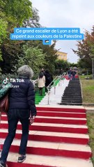 Ce grand escalier de Lyon repeint aux couleurs de la Palestine