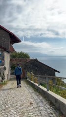 L’otaku en balade 🇨🇭 Les vignes de Lavaux 🍇