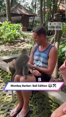 Wild Jungle Spa Surprise! Monkey Gives Tourist a Hilarious Makeover|| Heartsome 💖
