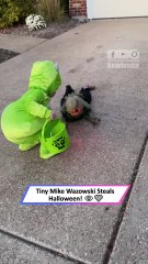 Cutest Mike Wazowski Ever! Toddler’s First Trick-or-Treat Adventure 👻|| Heartsome 💖