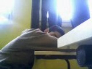 Dodo pendans le brevet blanc