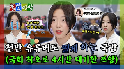 [돌발영상] 천만 유튜버도 떨게 하는 국감 (국회 착오로 4시간 대기한 쯔양)  / YTN