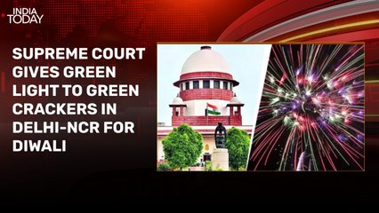 Can green crackers check pollution in Delhi-NCR? Experts debate