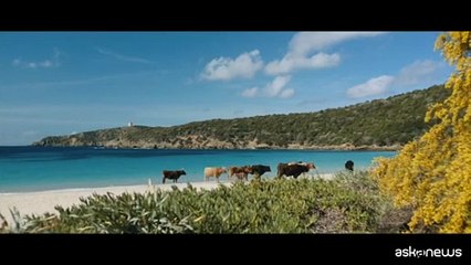 Festa di Roma, apre "La vita va così": storia di libertà e coraggio