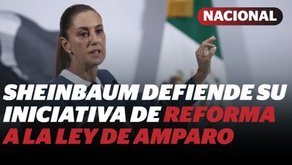 Reforma a la Ley de Amparo: Demandas colectivas quedan salvaguardadas | Reporte Indigo
