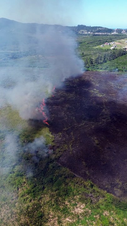 Incêndio em vegetação nativa mobiliza bombeiros há horas em Florianópolis