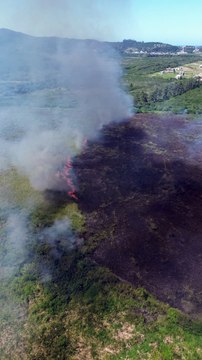 Incêndio em vegetação nativa mobiliza bombeiros há horas em Florianópolis