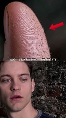 What Are the ''Hooks'' That Make Tobey Stick?