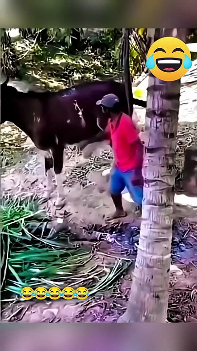 Funny Moments #shorts #viralshorts #funnymoments #comdeymemes