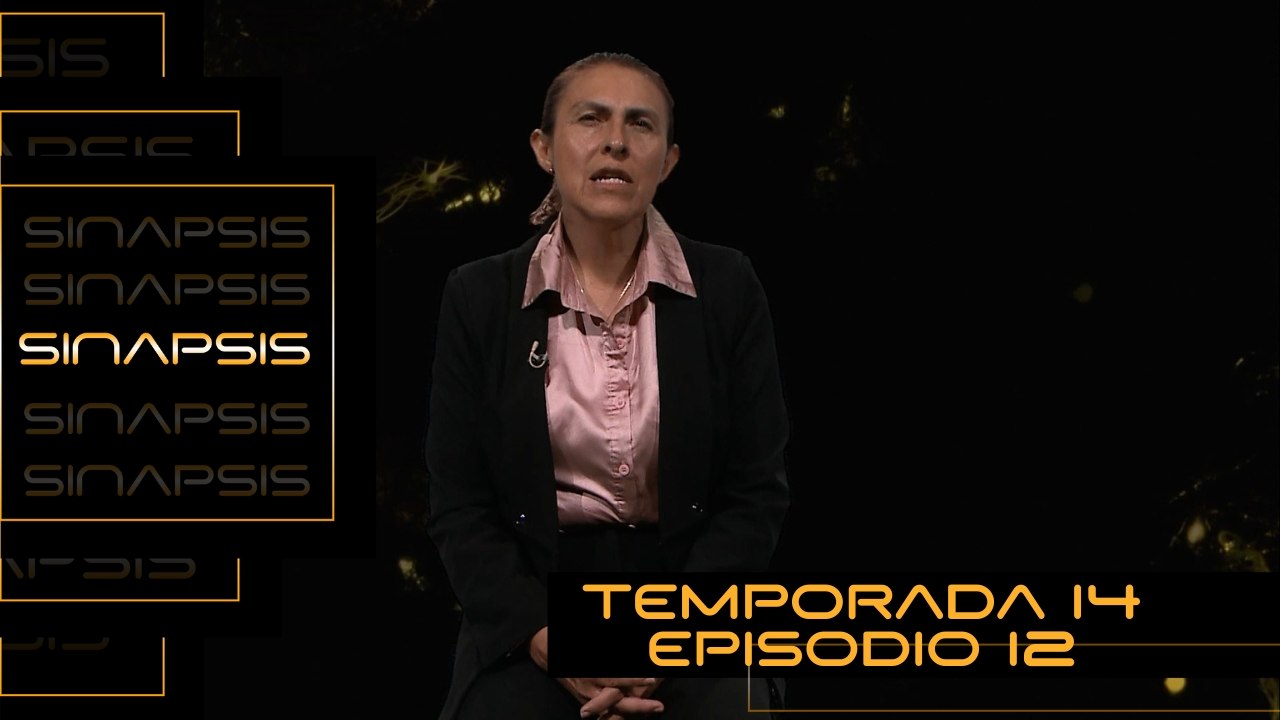 T14 Ep. 12 Sinapsis | Comportamiento desviado