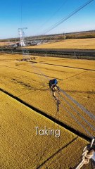 The World's Most EXTREME Commute (Lineman Edition)