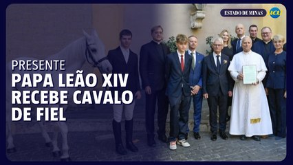 Papa Leão XIV é presenteado com cavalo puro-sangue árabe