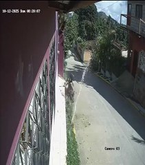 Joven pierde el control de su motocicleta e impacta contra una palmera en Campamento