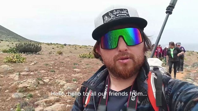 Desierto florido Atacama Chile