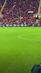 Una rata se robó el show en pleno partido Bélgica vs Gales