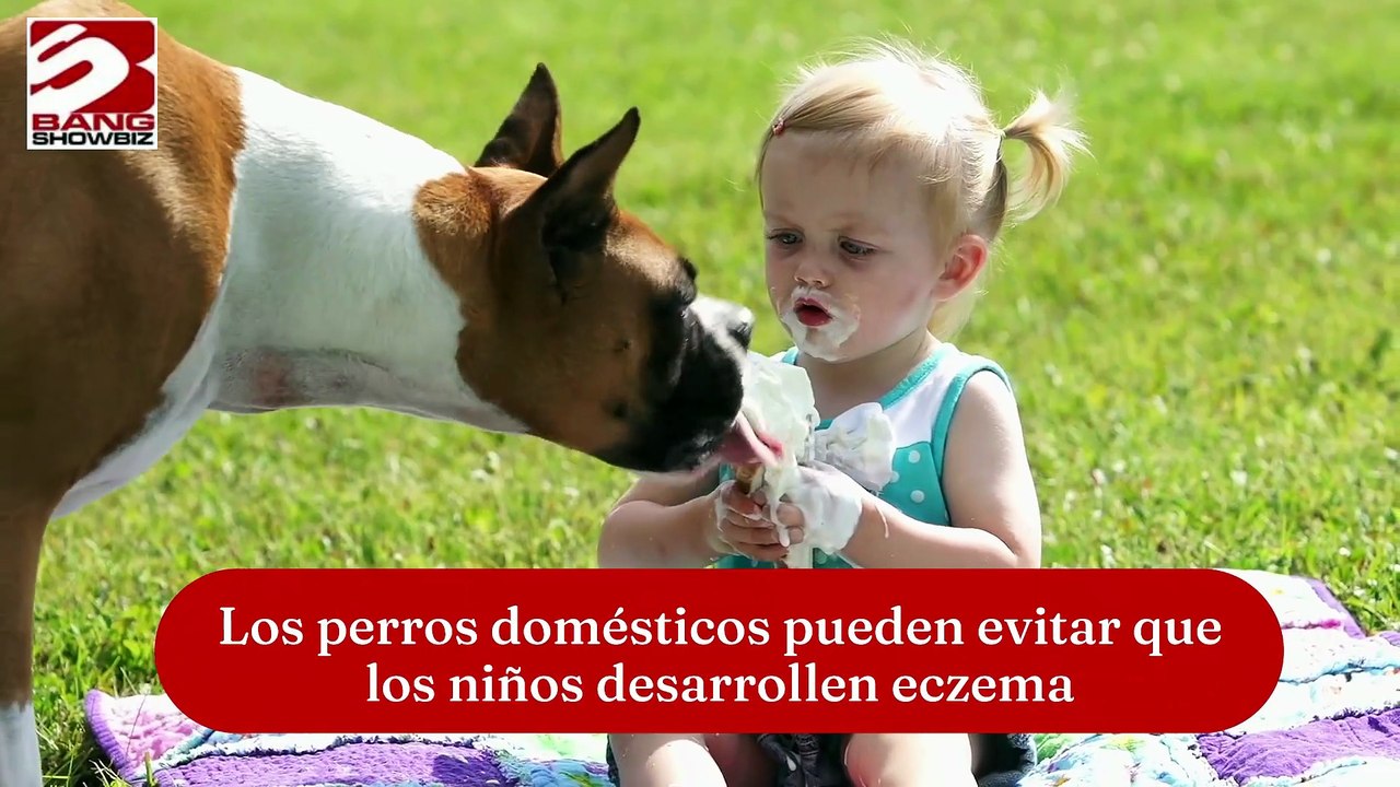 Muchos británicos mienten por cuidar a sus perros