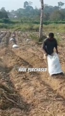 The Hidden Chain That Could End It All What’s Breaking?