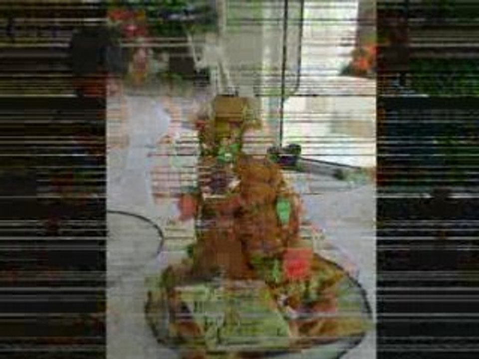 Communion_0001