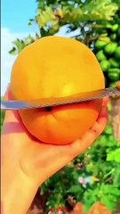 5 Mind-Blowing Food Facts You Didn’t Know