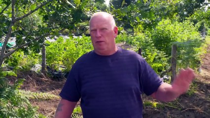 Help! We Bought a Village - Season 4 Episode 33