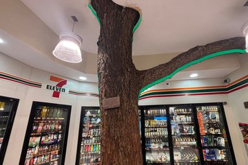 Así es el Seven Tree, la tienda que tiene un árbol vivo en su interior