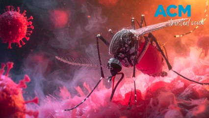 Chikungunya mosquito virus: what it is and why it’s spreading so fast