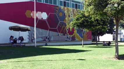 El sur que soñó con una universidad; así nació el CUSur