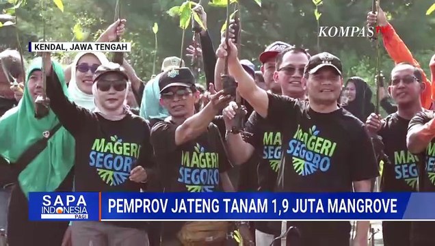 Pemprov Jateng Tanam 1,9 Juta Bibit Mangrove di Pantai Muara Kencana | SAPA PAGI