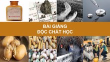Bài giảng - ĐỘC CHẤT HỌC