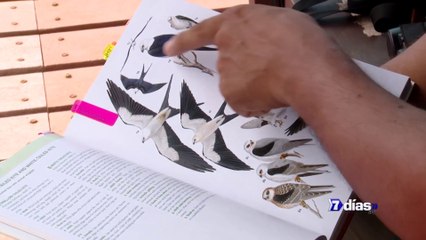 7Días-rapaces-para-todos-151025