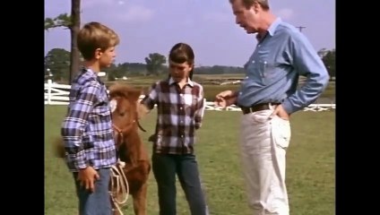 Be sure to Watch this Film! The story will touch your heart  Full Family Movie in English HD