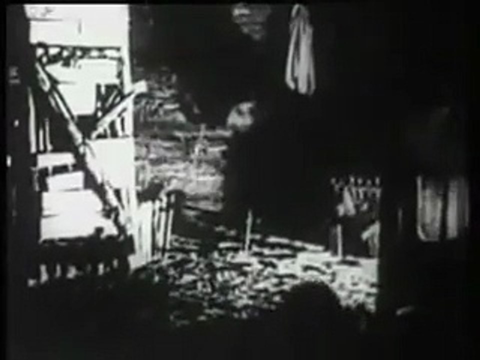 Whispers Beneath the Canopy Full Classic Film