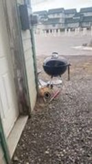 Resident Captures Dangerously Rising Floodwaters Outside Apartment in Kotzebue, USA