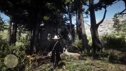 52. Whoever Found This Glitch Deserves a Raise - RDR2