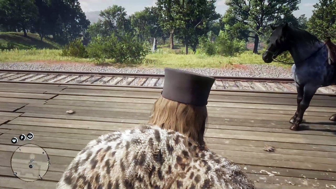 56. 10 Special Events That You Might Have Missed in Chapter 2 - RDR2