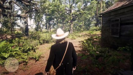 57. Secrets That Are Very Hard To Link in Red Dead Redemption 2