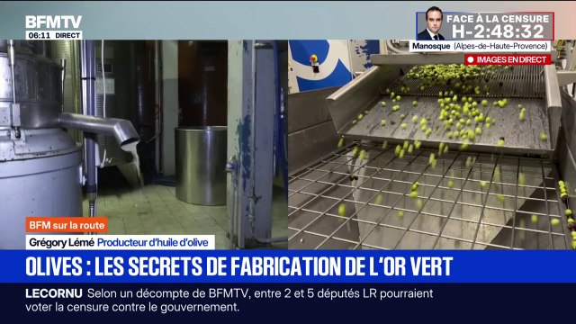 C'est le même principe d'extraction depuis des millénaires : la récolte des olives et la fabrication d'huile bat son plein