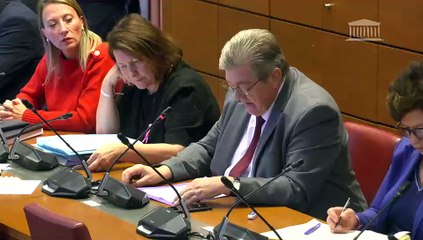 Commission des affaires étrangères et Commission des finances : Moyens consacrés au volet diplomatique de notre réorientation stratégique - Mercredi 15 octobre 2025